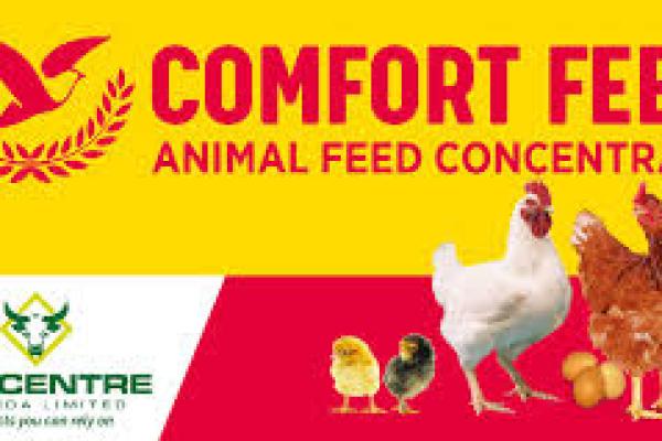 Boundary Survey, Utility Survey